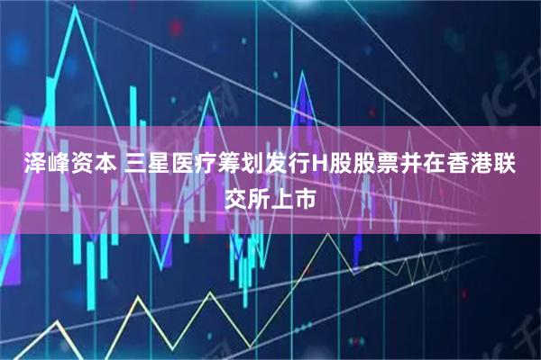 泽峰资本 三星医疗筹划发行H股股票并在香港联交所上市