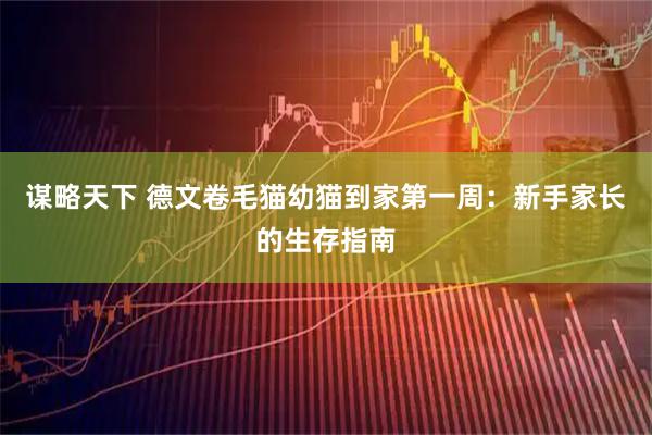谋略天下 德文卷毛猫幼猫到家第一周：新手家长的生存指南