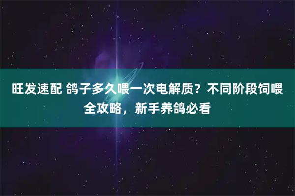旺发速配 鸽子多久喂一次电解质？不同阶段饲喂全攻略，新手养鸽必看