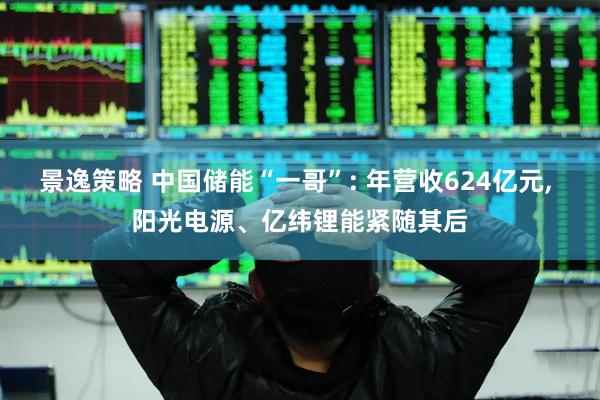 景逸策略 中国储能“一哥”: 年营收624亿元, 阳光电源、亿纬锂能紧随其后
