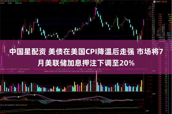 中国星配资 美债在美国CPI降温后走强 市场将7月美联储加息押注下调至20%